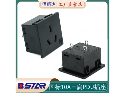 BS-G10-4AB-2248A国标10A 250V三扁PDU插座