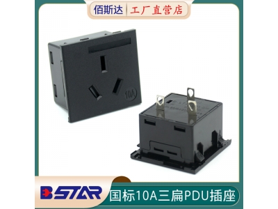 BS-G10-5AB-2248A国标10A 250V三扁PDU插座